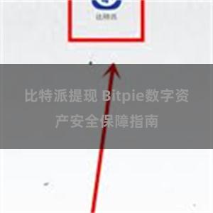 比特派提现 Bitpie数字资产安全保障指南