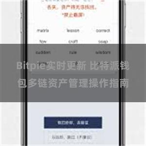 Bitpie实时更新 比特派钱包多链资产管理操作指南