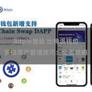 Bitpie地址 比特派钱包多链资产管理技巧：全面攻略