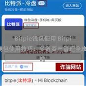 Bitpie钱包使用 Bitpie钱包使用技巧：多链资产管理全攻略