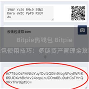 Bitpie热钱包 Bitpie钱包使用技巧：多链资产管理全攻略