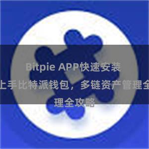 Bitpie APP快速安装 快速上手比特派钱包，多链资产管理全攻略