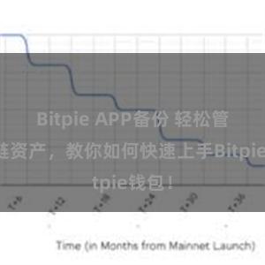 Bitpie APP备份 轻松管理多链资产，教你如何快速上手Bitpie钱包！