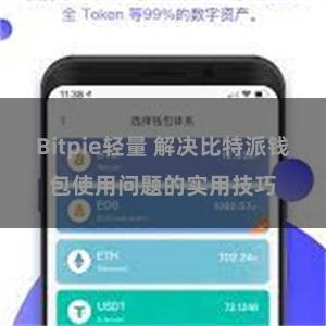 Bitpie轻量 解决比特派钱包使用问题的实用技巧