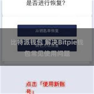 比特派钱包 解决Bitpie钱包常见使用问题