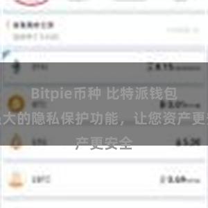 Bitpie币种 比特派钱包：强大的隐私保护功能，让您资产更安全