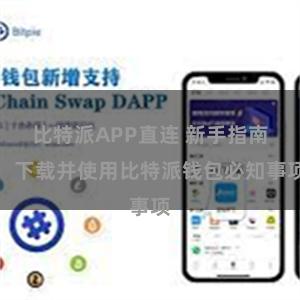 比特派APP直连 新手指南：下载并使用比特派钱包必知事项