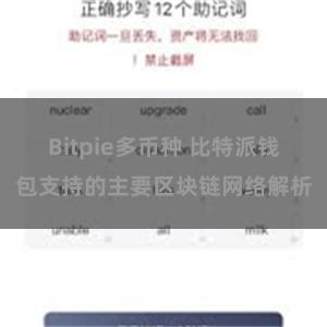 Bitpie多币种 比特派钱包支持的主要区块链网络解析