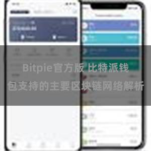 Bitpie官方版 比特派钱包支持的主要区块链网络解析