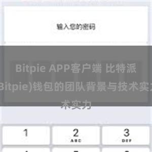 Bitpie APP客户端 比特派(Bitpie)钱包的团队背景与技术实力