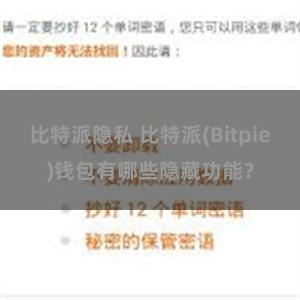 比特派隐私 比特派(Bitpie)钱包有哪些隐藏功能？