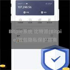 Bitpie系统 比特派(Bitpie)钱包隐私保护指南