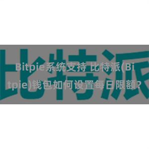 Bitpie系统支持 比特派(Bitpie)钱包如何设置每日限额？