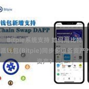 Bitpie系统支持 如何用比特派钱包(Bitpie)同步多设备资产？