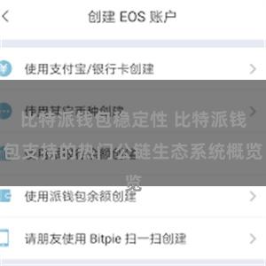 比特派钱包稳定性 比特派钱包支持的热门公链生态系统概览