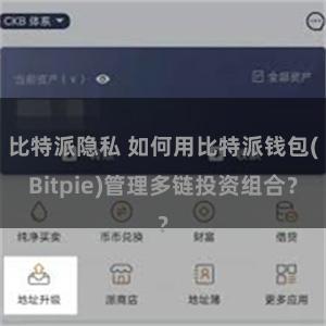 比特派隐私 如何用比特派钱包(Bitpie)管理多链投资组合？