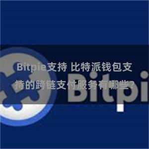 Bitpie支持 比特派钱包支持的跨链支付服务有哪些？
