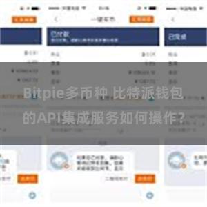 Bitpie多币种 比特派钱包的API集成服务如何操作？