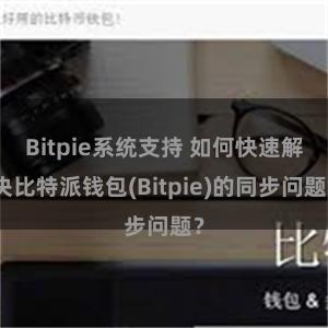 Bitpie系统支持 如何快速解决比特派钱包(Bitpie)的同步问题？