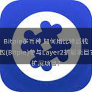 Bitpie多币种 如何用比特派钱包(Bitpie)参与Layer2扩展项目？