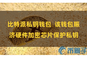 比特派私钥钱包  该钱包赈济硬件加密芯片保护私钥