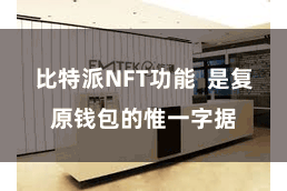 比特派NFT功能  是复原钱包的惟一字据