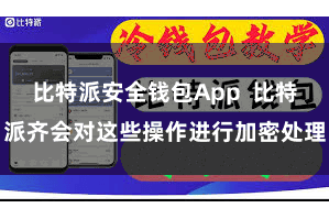 比特派安全钱包App  比特派齐会对这些操作进行加密处理