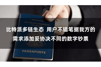 比特派多链生态  用户不错笔据我方的需求添加妥协决不同的数字钞票